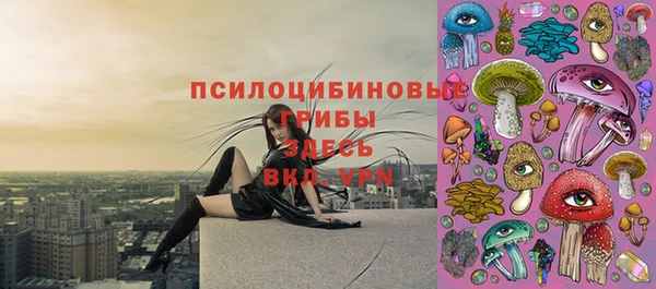 дмт Абинск
