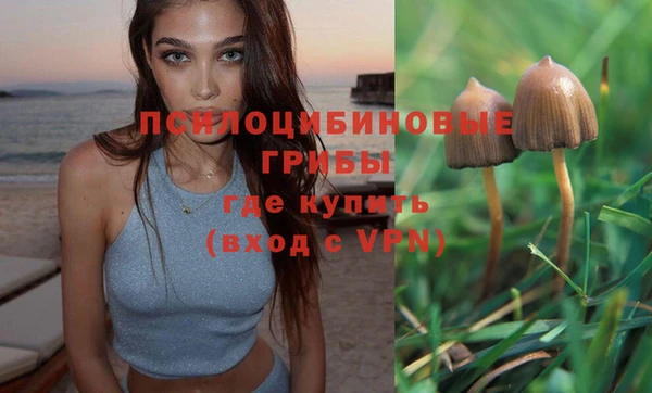прущая мука Абдулино