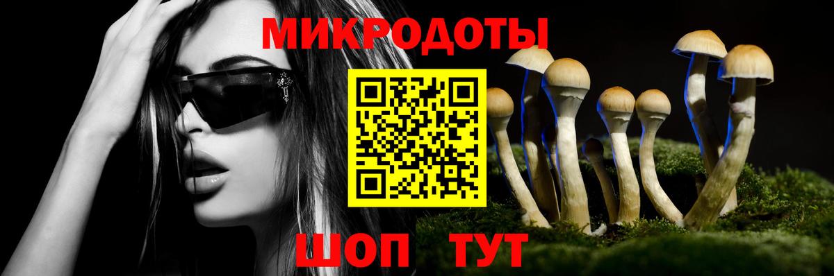 Галлюциногенные грибы Psilocybine cubensis  Вход с VPN  Ипатово 