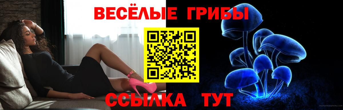 Псилоцибиновые грибы Psilocybe Ипатово